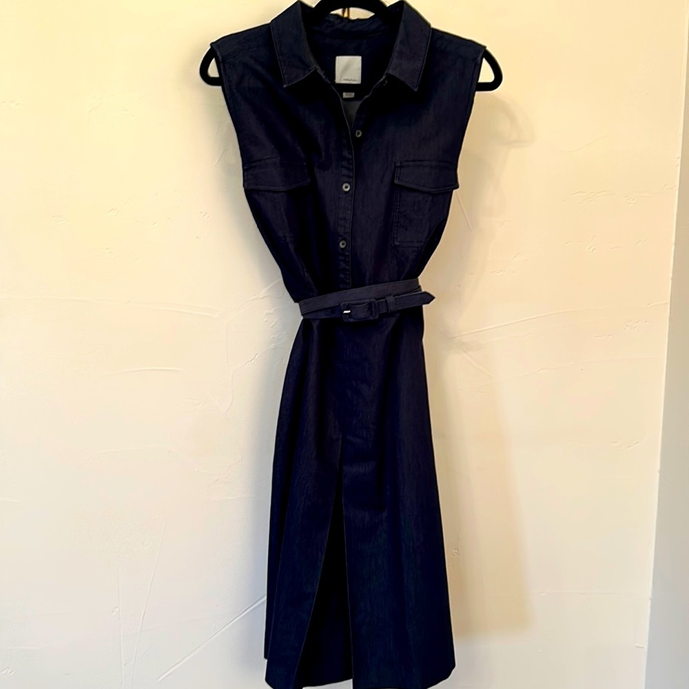 Halogen Denim Dress